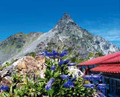 Hutte Oyari